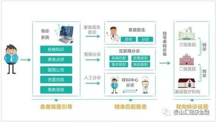 國(guó)產(chǎn)醫(yī)療器械崛起 資本青睞與進(jìn)口替代浪潮下的互聯(lián)網(wǎng)信息服務(wù)新機(jī)遇